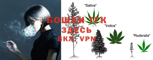 стафф Краснослободск