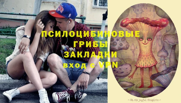 хмурый Кукмор