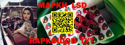 сатива Краснодар