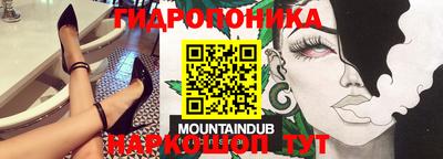 гашик Ирбит