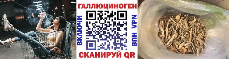 мега маркетплейс  Урус-Мартан  Псилоцибиновые грибы ЛСД  купить наркотики цена 