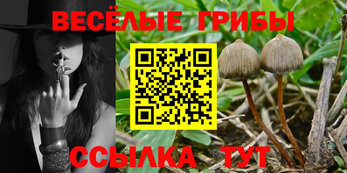 Псилоцибиновые грибы MAGIC MUSHROOMS  Галлюциногенные грибы прущие грибы  Урус-Мартан  Вход с VPN 