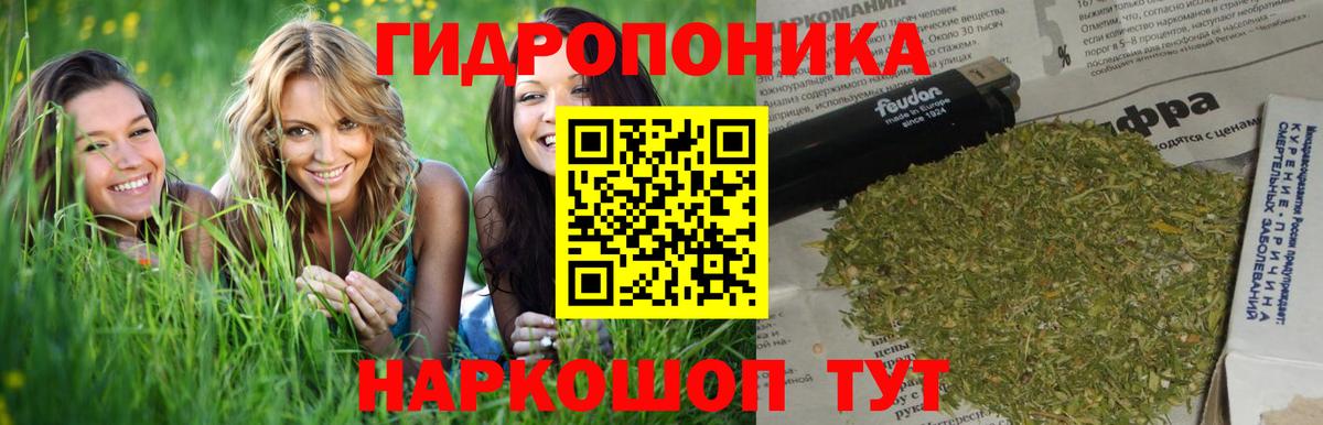 Шишки марихуана White Widow  Урус-Мартан  Каннабис SATIVA & INDICA 
